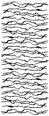 Wiggly Lines 2